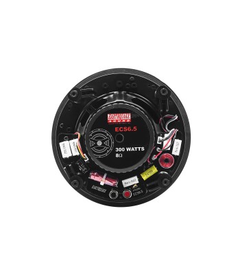 EARTHQUAKE ECS-6.5 loftshøjttaler