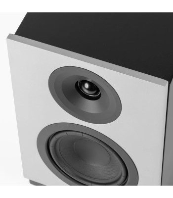 System Audio PAR Silverback 1 Kompakt reol- og væghøjttaler Sort Surround hub