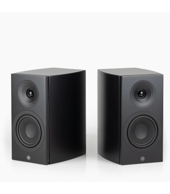 PAR Legend 5.2 Silverback DS  Kompakt højttaler Sort