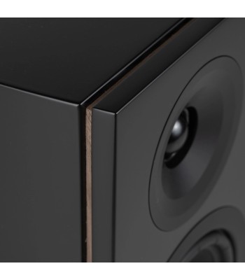 PAR Legend 5.2 Silverback DS  Kompakt højttaler Sort Med Stereo Hub