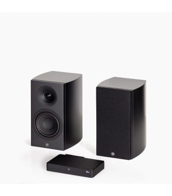 PAR Legend 5.2 Silverback DS  Kompakt højttaler Sort Med Surround Hub