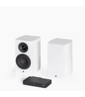 PAR Legend 5.2 Silverback DS  Kompakt højttaler Hvid Med Stereo Hub