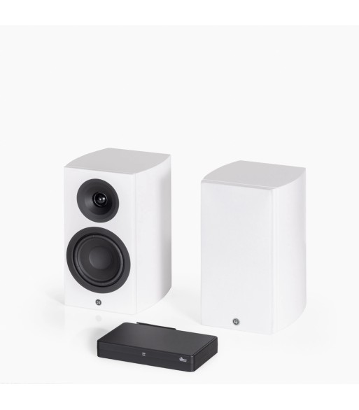 PAR Legend 5.2 Silverback DS  Kompakt højttaler Hvid Med Stereo Hub