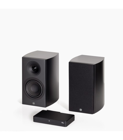 PAR Legend 5.2 Silverback DS  Kompakt højttaler Sort Med Stereo Hub