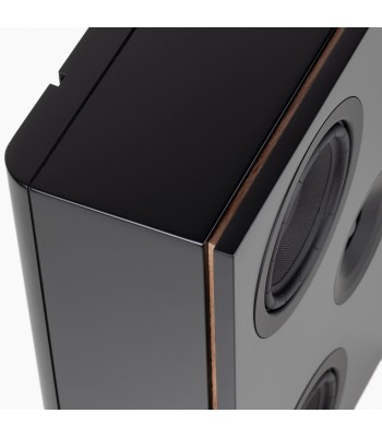 PAR Legend 7.2 Silverback DS  Slank væghøjttaler Sort