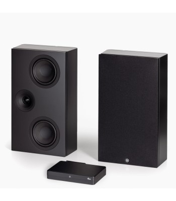 PAR Legend 7.2 Silverback DS  Slank væghøjttaler Sort Med Surround Hub