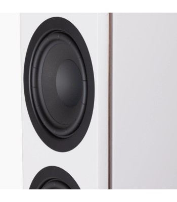 PAR Legend 40.2 Silverback DS  Gulvhøjttaler i fuld størrelse HVID Med Stereo Hub