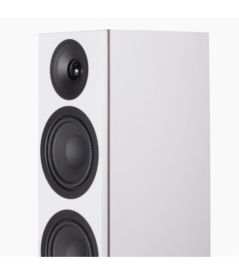PAR Legend 40.2 Silverback DS  Gulvhøjttaler i fuld størrelse HVID Med Stereo Hub