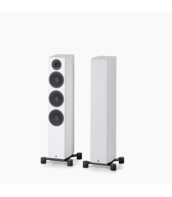 PAR Legend 40.2 Silverback DS  Gulvhøjttaler i fuld størrelse HVID Med Stereo Hub