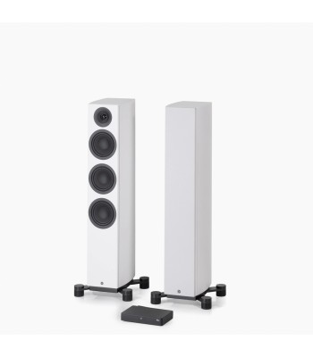 PAR Legend 40.2 Silverback DS  Gulvhøjttaler i fuld størrelse HVID Med Stereo Hub