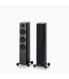 PAR Legend 40.2 Silverback DS  Gulvhøjttaler i fuld størrelse Sort Med Stereo Hub