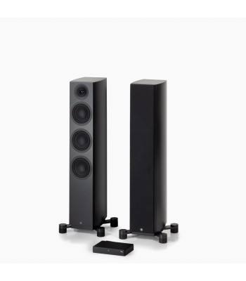 PAR Legend 40.2 Silverback DS  Gulvhøjttaler i fuld størrelse Sort Med Stereo Hub