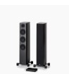 PAR Legend 40.2 Silverback DS  Gulvhøjttaler i fuld størrelse Sort Med Stereo Hub