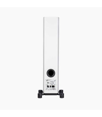 PAR Legend 40.2 Silverback DS  Gulvhøjttaler i fuld størrelse HVID Surround Hub