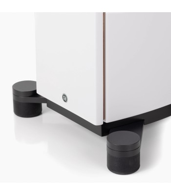 PAR Legend 40.2 Silverback DS  Gulvhøjttaler i fuld størrelse HVID Surround Hub