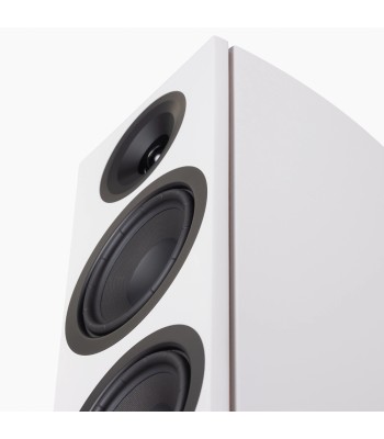 PAR Legend 40.2 Silverback DS  Gulvhøjttaler i fuld størrelse HVID Surround Hub