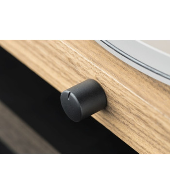 Pro-Ject Jukebox S2 Eucalyptus Pick-it 25A