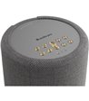 Audio Pro A10 MKII W multiroom højttaler mørkegrå