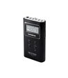 Sangean DT120BLK lommeradio