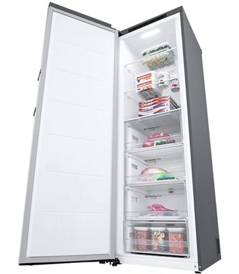 LG GFT41PZGSZ fritstående fryseskab