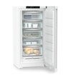 Liebherr FNc 6625-22 001 fritstående fryseskab