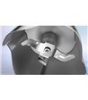 Bosch MSM6M831 stavblender