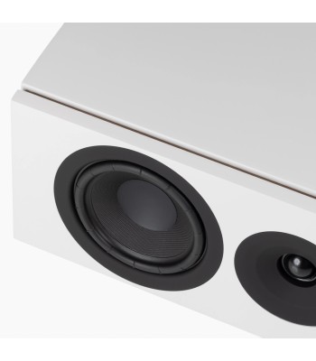 System Audio Legend 10.2 Silverback DS  The voice of your home theatre Hvid