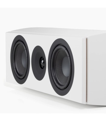 System Audio Legend 10.2 Silverback DS  The voice of your home theatre Hvid