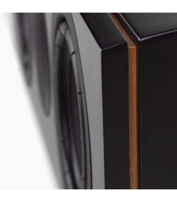 System Audio Legend 10.2 Silverback DS  The voice of your home theatre Sort
