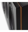 System Audio Legend 10.2 Silverback DS  The voice of your home theatre Sort
