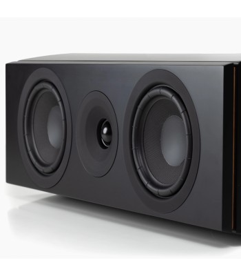 System Audio Legend 10.2 Silverback DS  The voice of your home theatre Sort