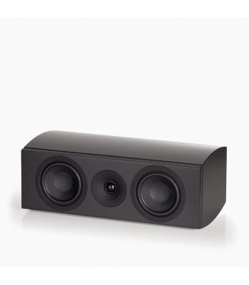 System Audio Legend 10.2 Silverback DS  The voice of your home theatre Sort