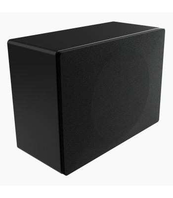 System Audio Silverback Sub Duo  Bass expansion unit Sort