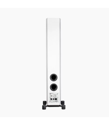 System Audio PAR Legend 60.2 Silverback DS  Flagskib blandt gulvhøjttalere Hvid