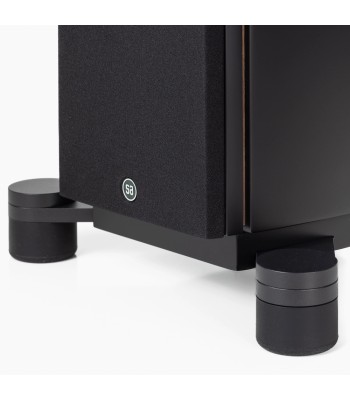 System Audio PAR Legend 60.2 Silverback DS  Flagskib blandt gulvhøjttalere Sort