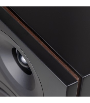 System Audio PAR Legend 60.2 Silverback DS  Flagskib blandt gulvhøjttalere Sort
