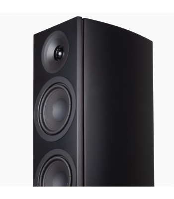 System Audio PAR Legend 60.2 Silverback DS  Flagskib blandt gulvhøjttalere Sort
