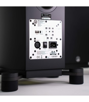 System Audio PAR Legend 60.2 Silverback DS  Flagskib blandt gulvhøjttalere Sort Med Stereo Hub