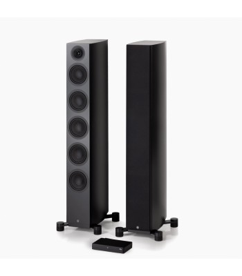 System Audio PAR Legend 60.2 Silverback DS  Flagskib blandt gulvhøjttalere Sort Med Stereo Hub