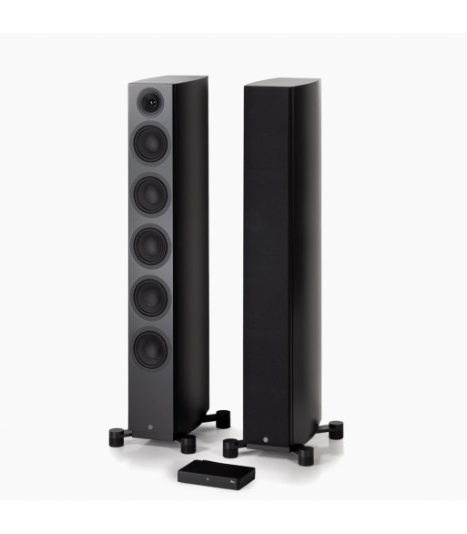 System Audio PAR Legend 60.2 Silverback DS  Flagskib blandt gulvhøjttalere Sort Med Stereo Hub