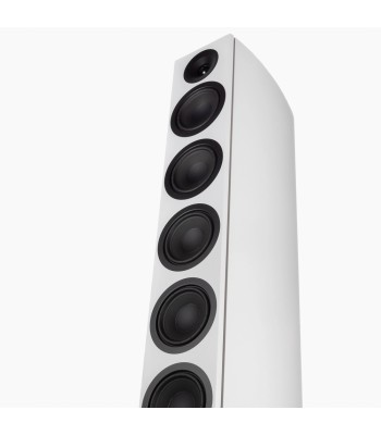 System Audio PAR Legend 60.2 Silverback DS  Flagskib blandt gulvhøjttalere Hvid Med Surround Hub