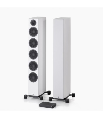 System Audio PAR Legend 60.2 Silverback DS  Flagskib blandt gulvhøjttalere Hvid Med Surround Hub
