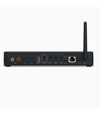 System Audio Surround Hub X  Den mest avancerede trådløse hub i Silverback-serien