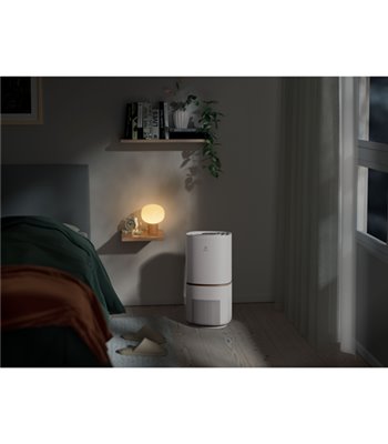 Electrolux EPO50571SW luftrenser / -fornyer