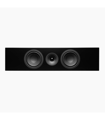 System Audio PAR Signature 10  Fleksibel væg- og centerhøjttaler Sort