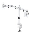 Deltaco Gaming WA86 dual-monitor desk mount, 13''-32'', whit
