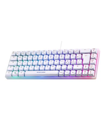 Deltaco Gaming WK70 60% keyboard, semi transparent case whit