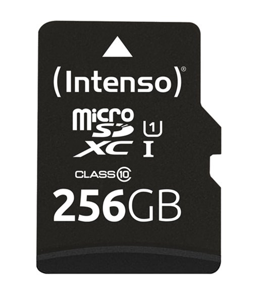Intenso 3423492 microSD Card UHS-I 256GB SDXC
