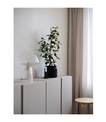 Globen Lighting Fungo 22 klar bordlampe