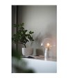 Globen Lighting Fungo 22 klar bordlampe